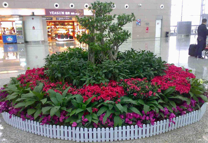 绿植租摆